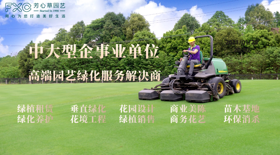 网站图片